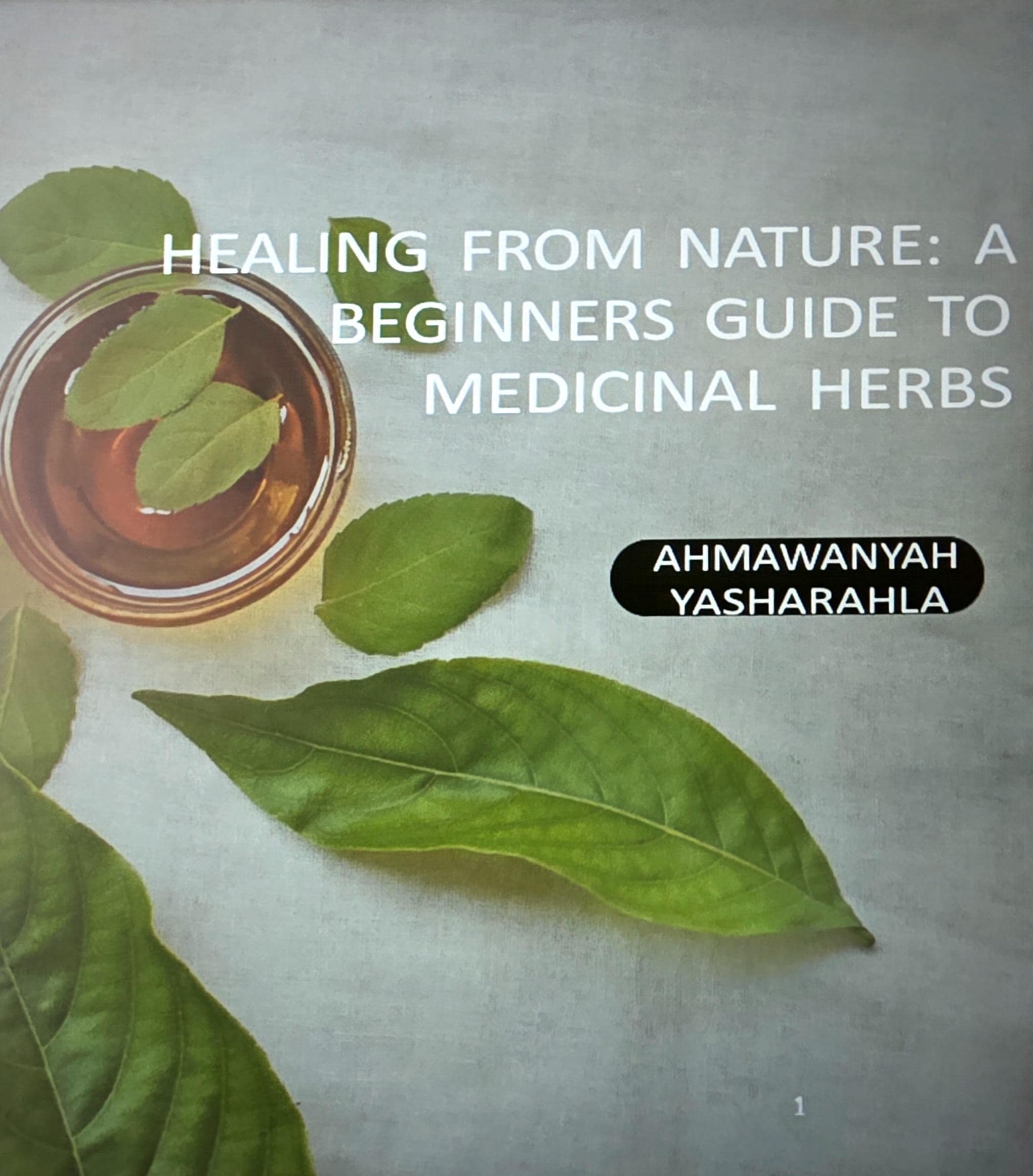 Herbal Healing Guide eBook | Beginner Herbalism Book | Natural Remedies, Teas & Plant Medicine | Holistic Wellness