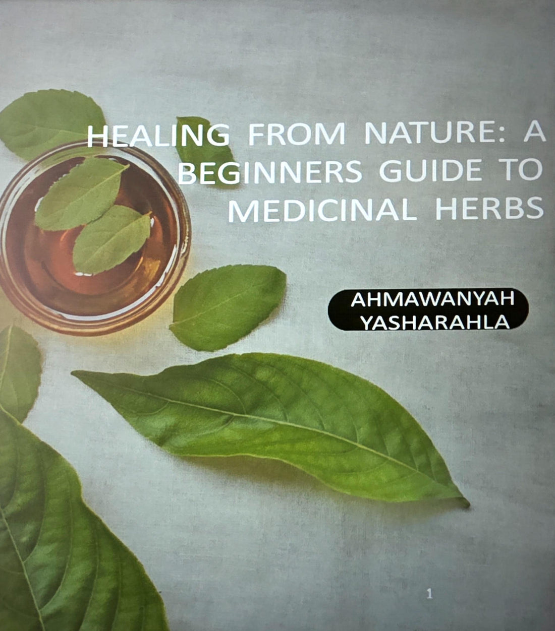 Herbal Healing Guide eBook | Beginner Herbalism Book | Natural Remedies, Teas & Plant Medicine | Holistic Wellness